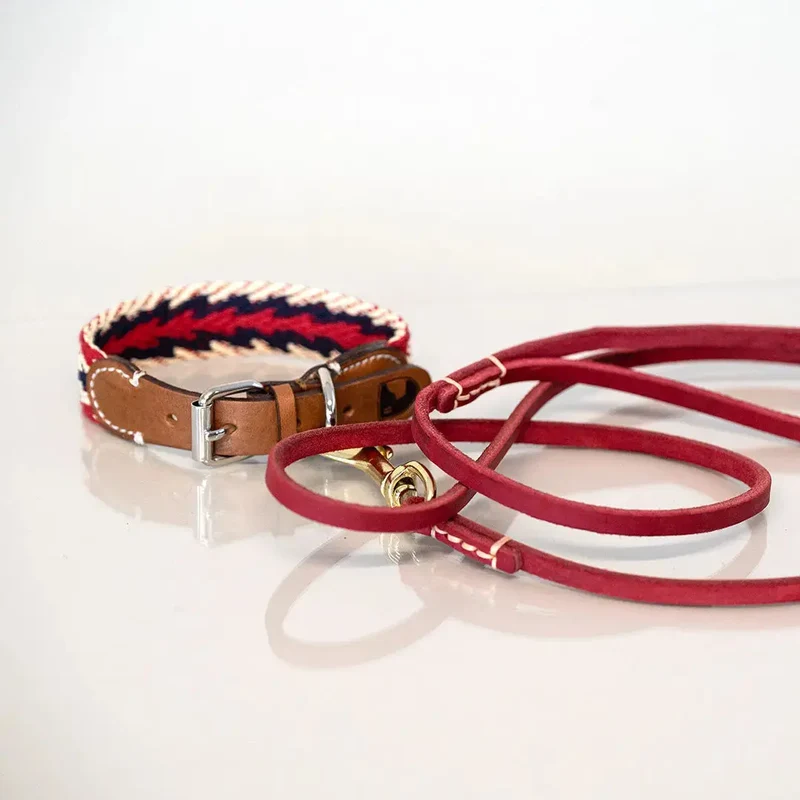 Hundehalsband - "Red Arrow" - Buddys