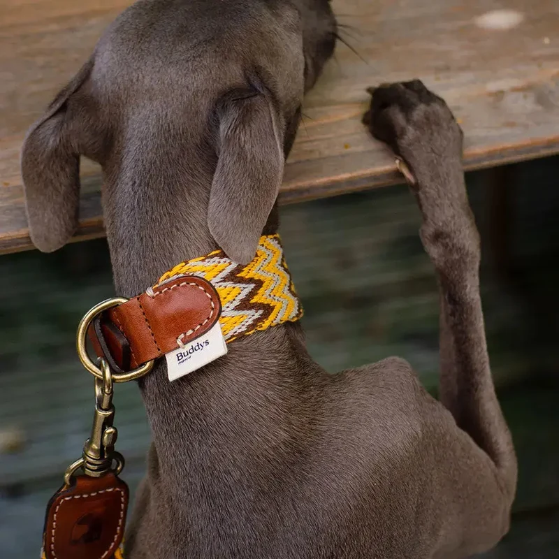 Bohemian Hundehalsband -"Yellow Zikzag" - Buddys