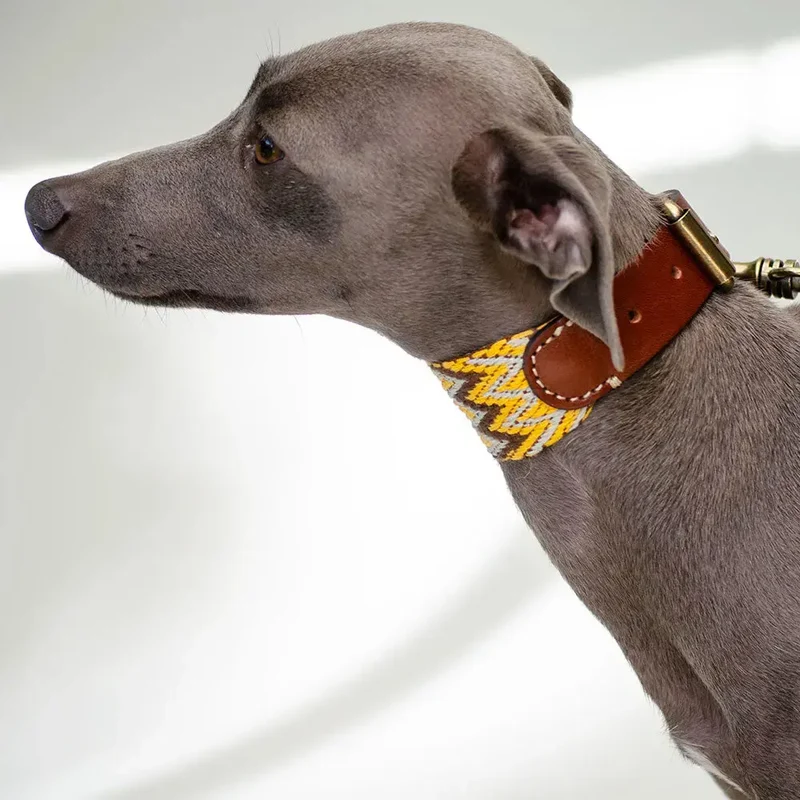 Bohemian Hundehalsband -"Yellow Zikzag" - Buddys