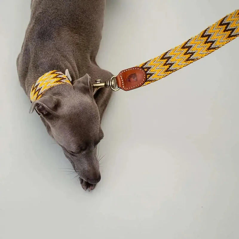 Bohemian Hundehalsband -"Yellow Zikzag" - Buddys