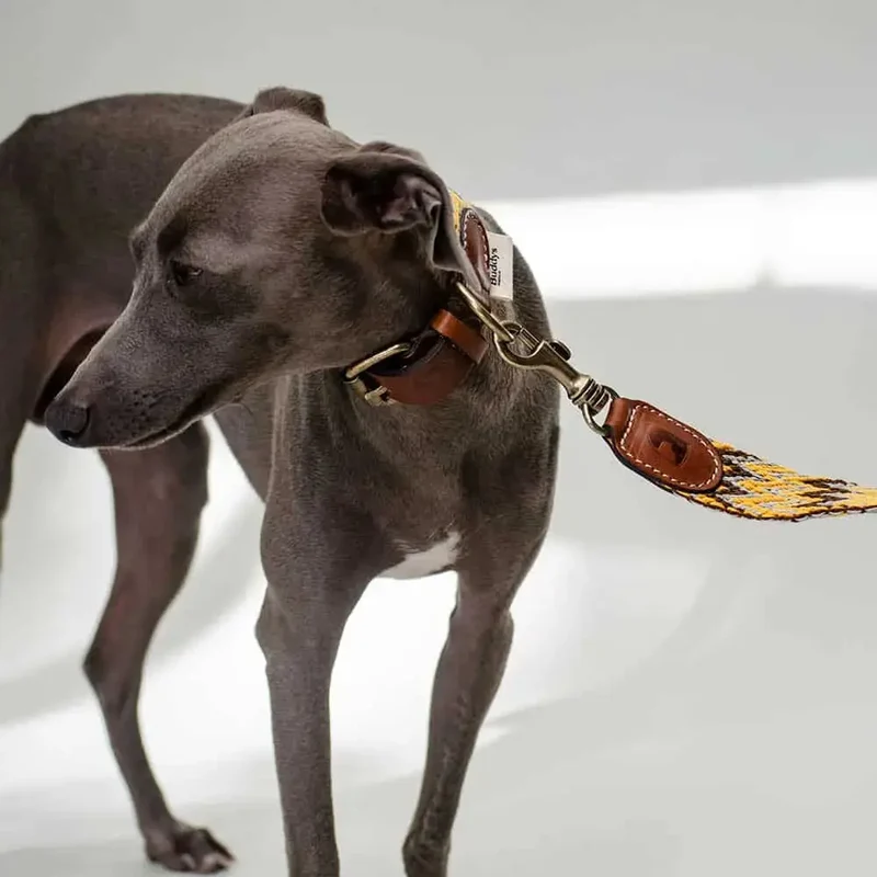 Bohemian Hundehalsband -"Yellow Zikzag" - Buddys
