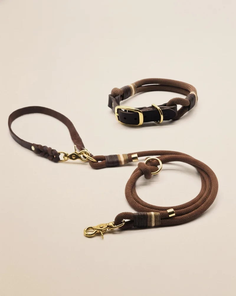 Limited | Set - Halsband & Leine 'Koffee Kiss'
