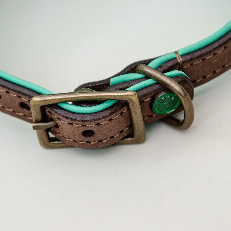 Halsband für Windhunde "Indian Greyhound"
