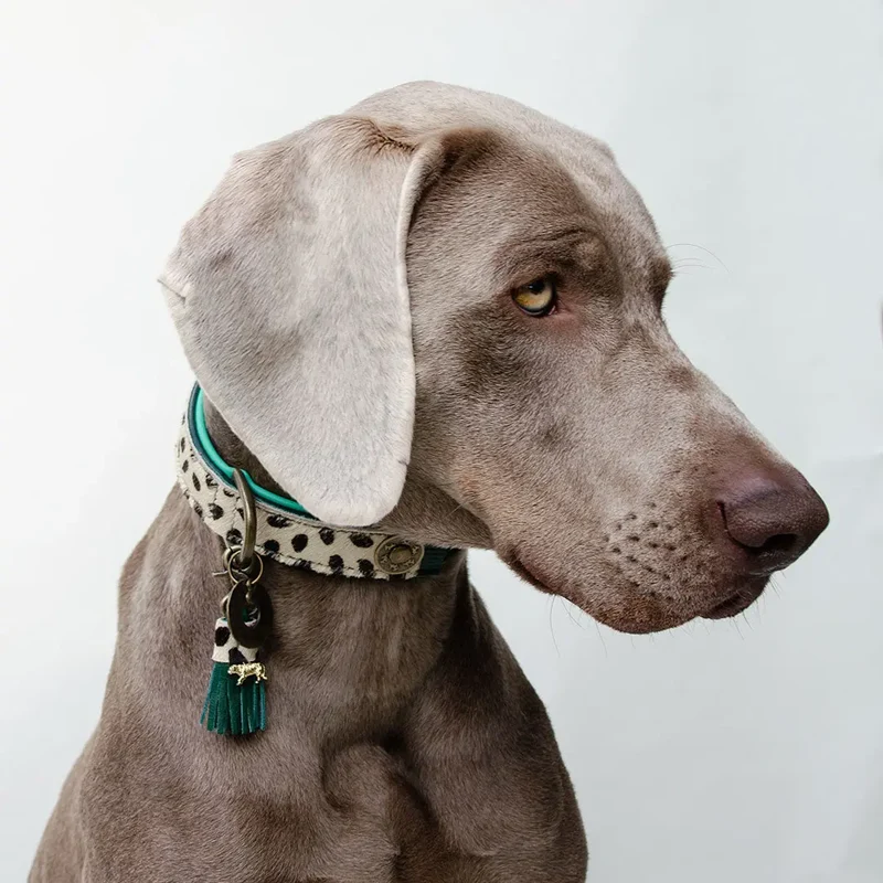 Handgefertigtes Halsband im Boho Look - "St. Barth Animal"