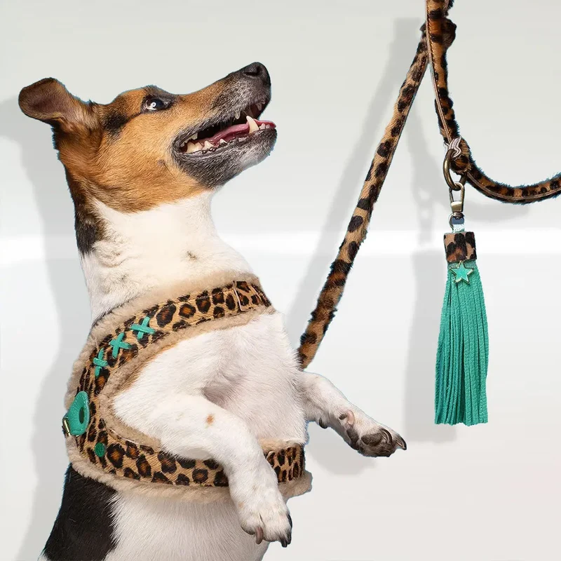 Step in Hundegeschirr - "Leo"