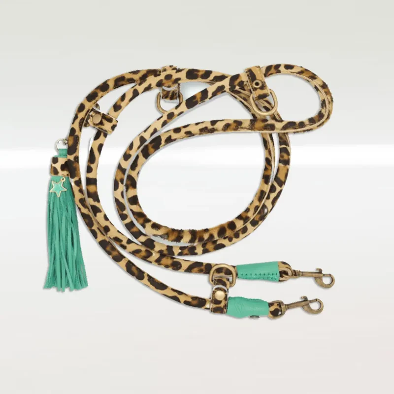 Im Boho Stil Hundeleine - "Leo"