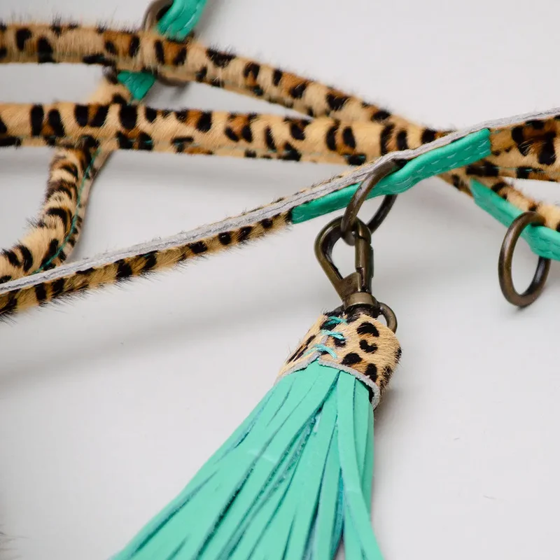 Im Boho Stil Hundeleine - "Leo"