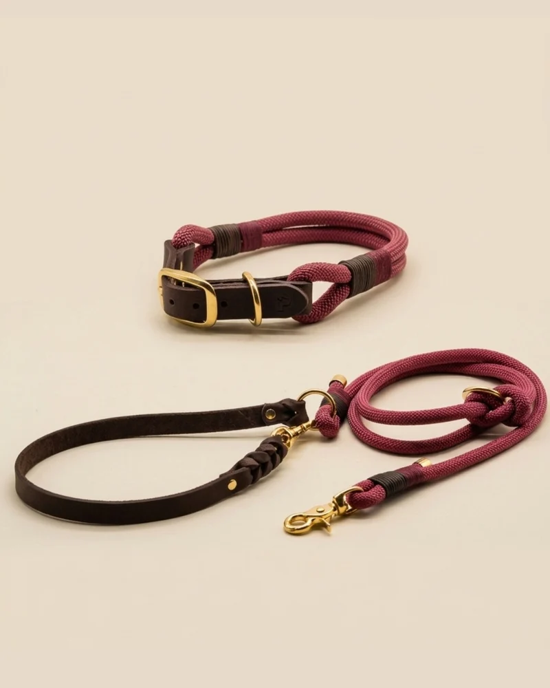 Limited | Set - Halsband & Leine 'Vino'