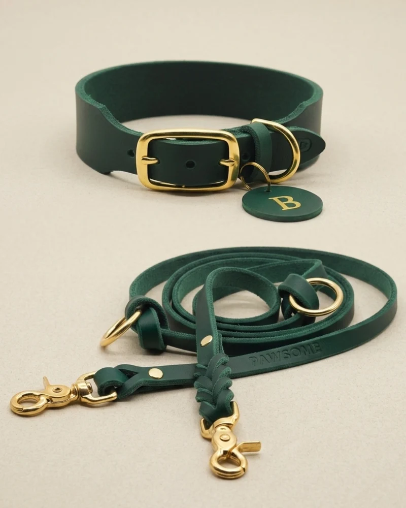 Set | Lederhalsband & Leine in Petrol