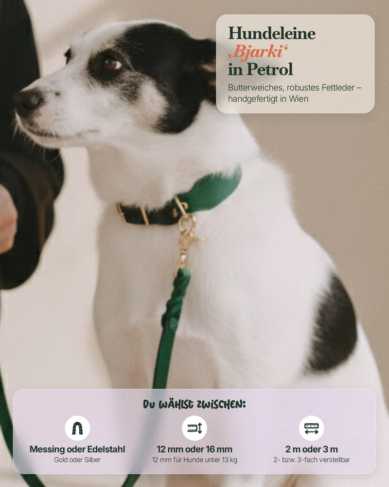 Lederleine 'Bjarki' in Petrol