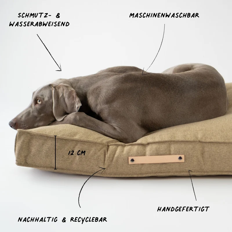 Hundekissen 'Møvik'