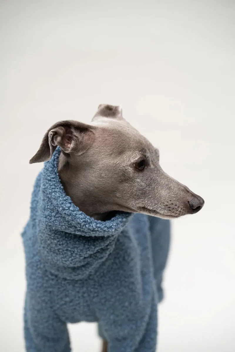 Hunde-Overall "Polar-4Legs" sky-blue