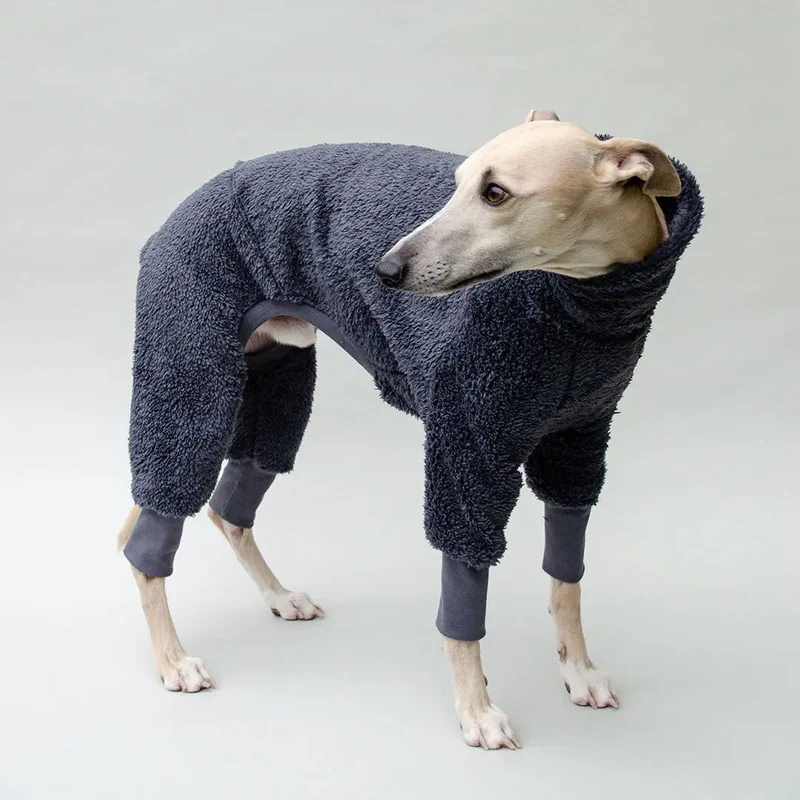 Hunde-Overall "Fozzie" blau grau