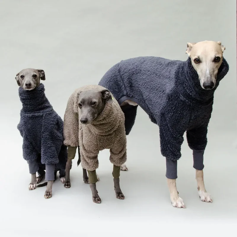 Hunde-Overall "Fozzie" blau grau