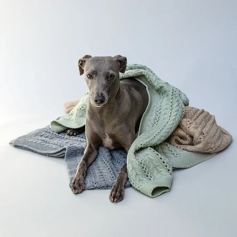 Kuscheldecke für Hunde "BabySoft"