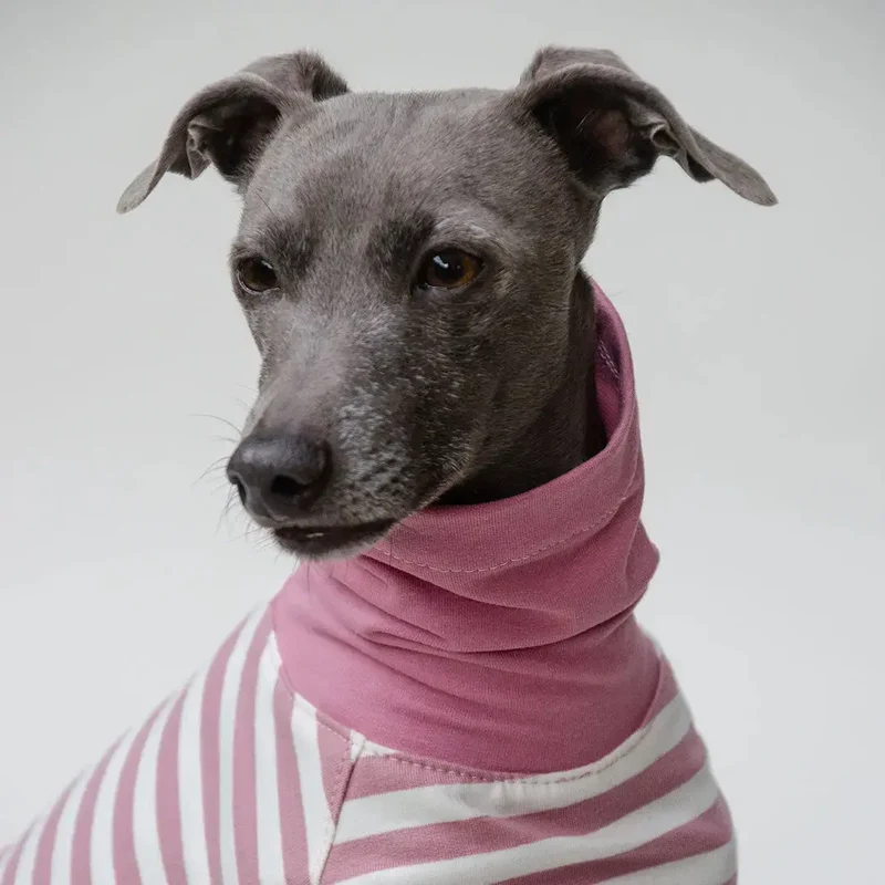 Leichtes Hundeshirt "BILBAO" rose