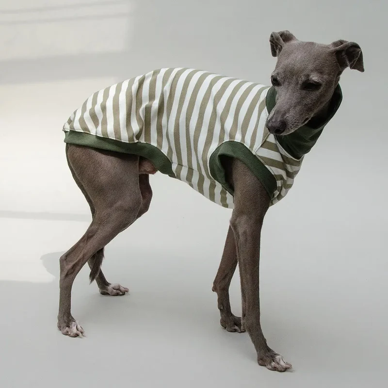 Hundeshirt "BILBAO" oliv