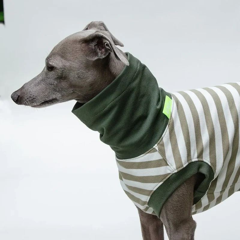 Hundeshirt "BILBAO" oliv