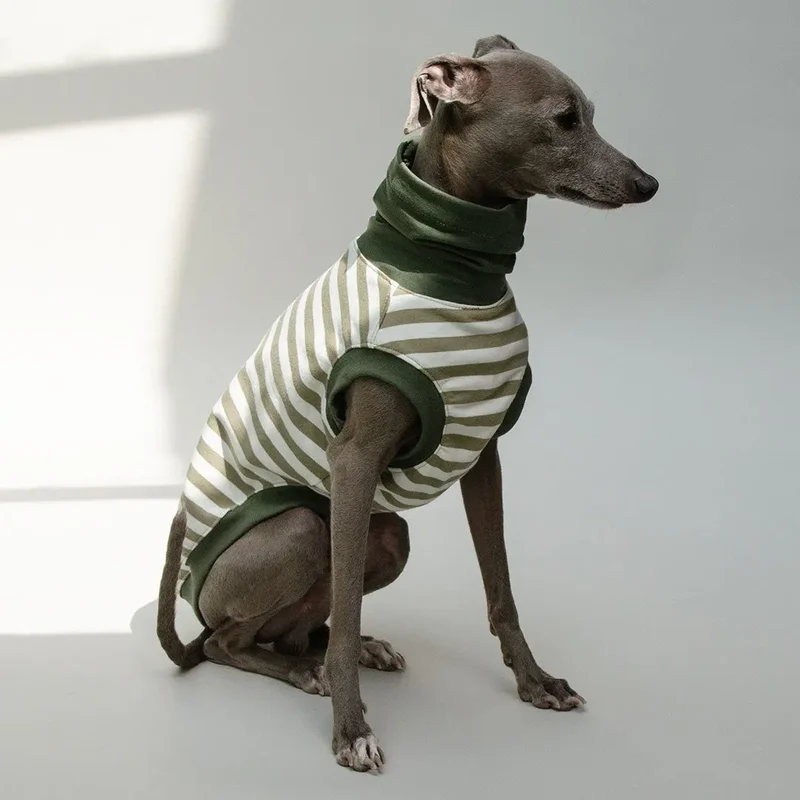 Hundeshirt "BILBAO" oliv