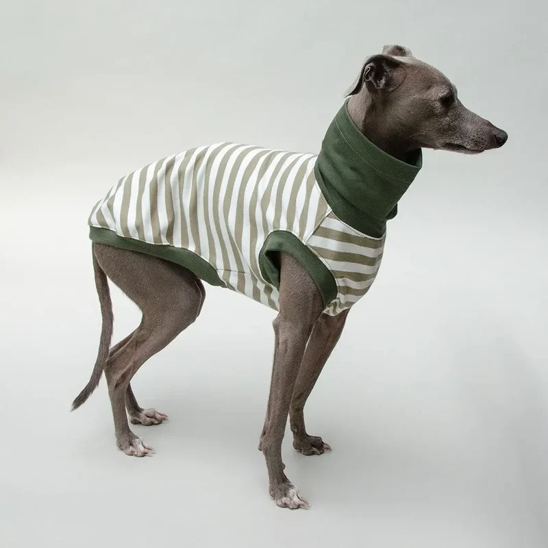 Hundeshirt "BILBAO" oliv