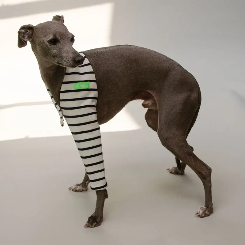 "One-Leg-Bandage"