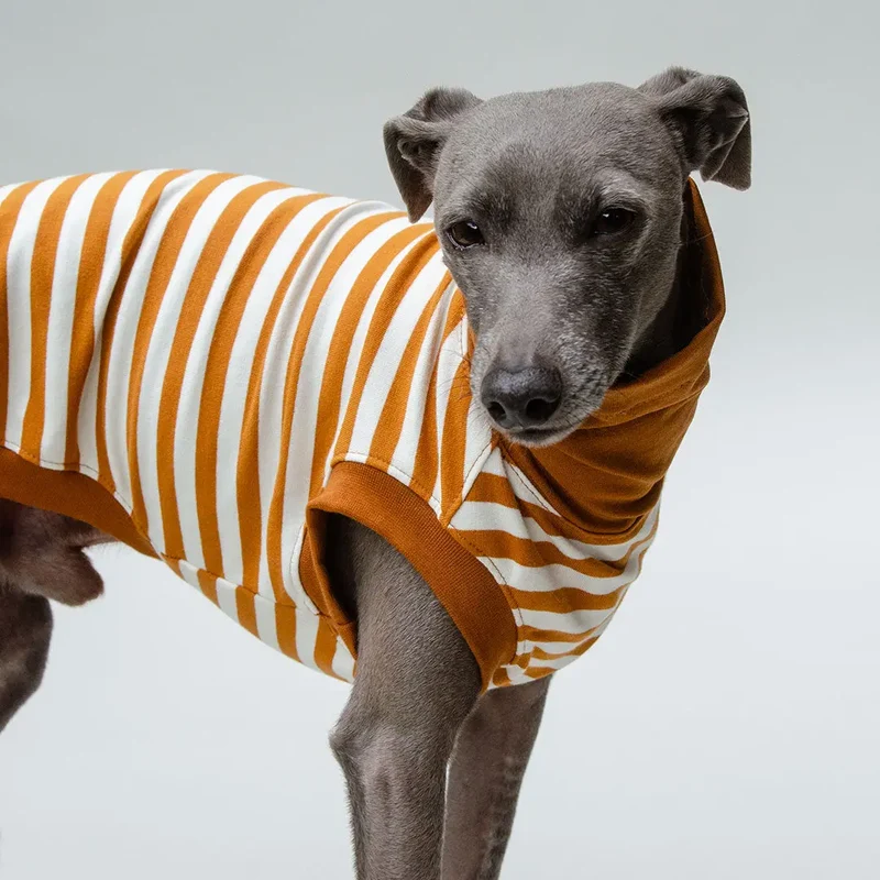 Hundeshirt "BILBAO" curry