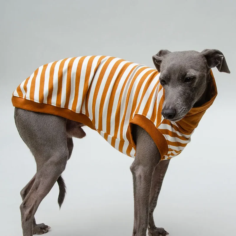 Hundeshirt "BILBAO" curry