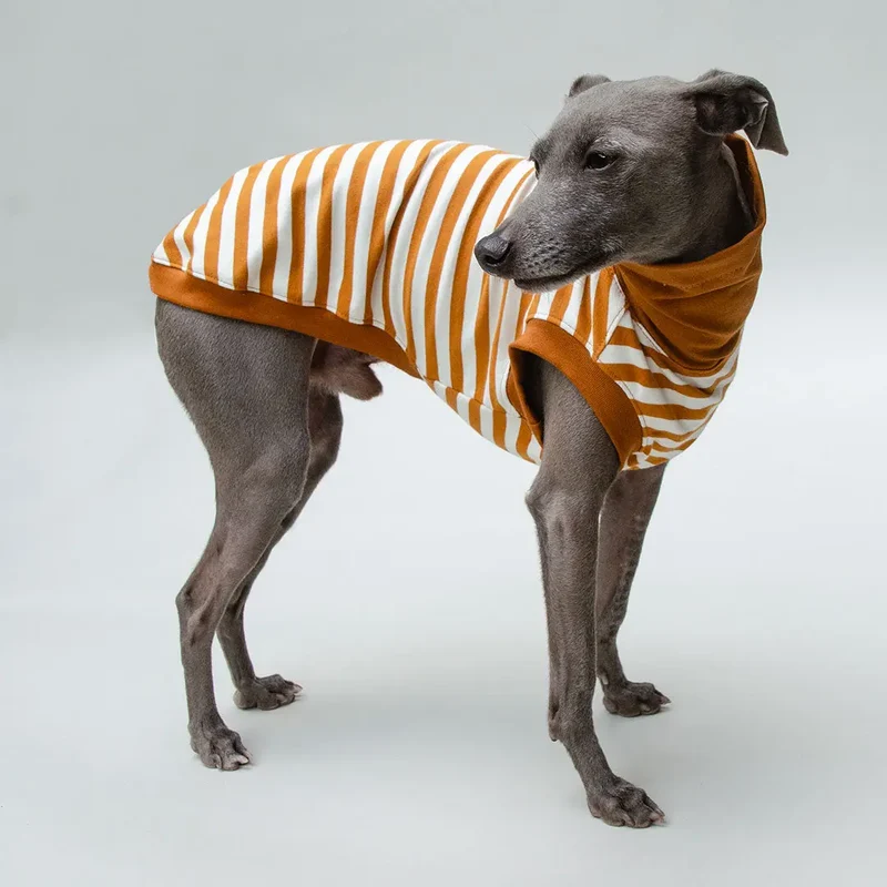 Hundeshirt "BILBAO" curry