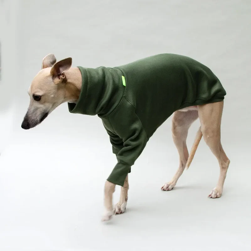Hunde-Sweater "COZY LONGSLEEVE" - oliv