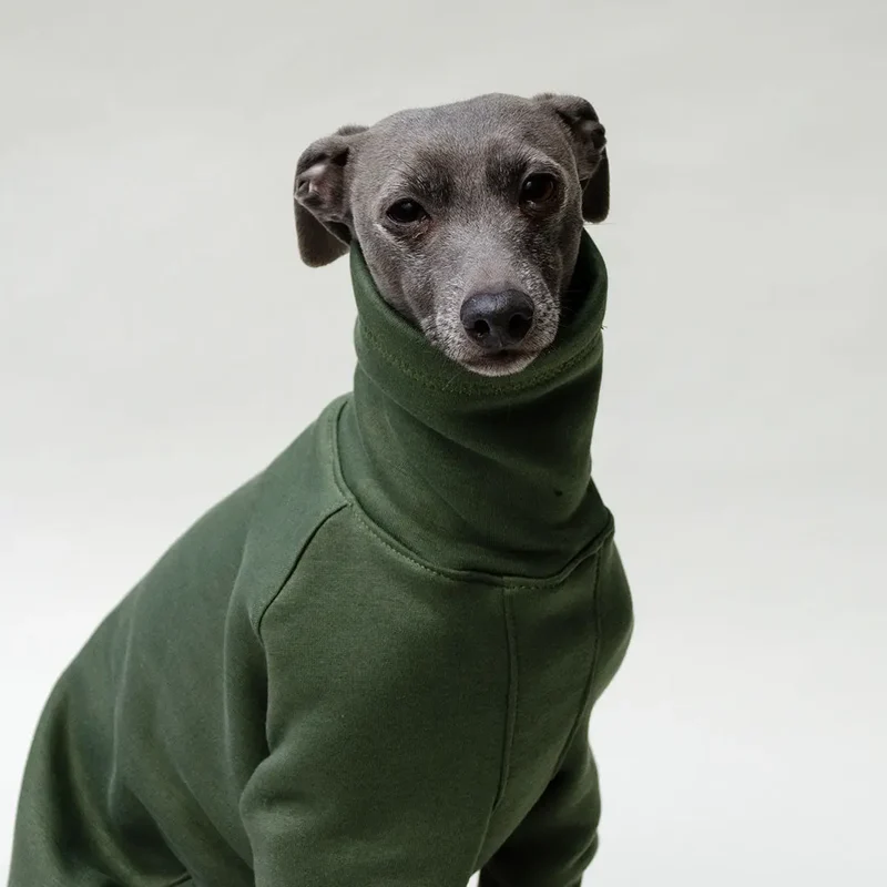 Hunde-Sweater "COZY LONGSLEEVE" - oliv