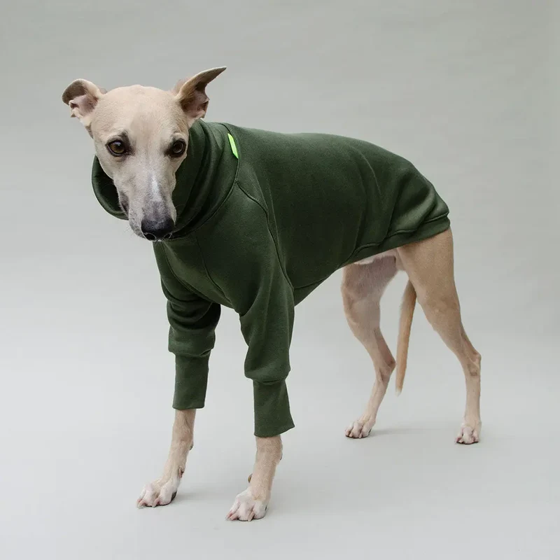 Hunde-Sweater "COZY LONGSLEEVE" - oliv