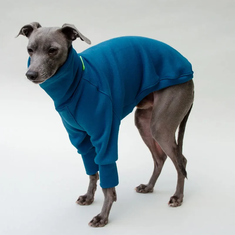 Hunde-Sweater "COZY LONGSLEEVE" - petrol