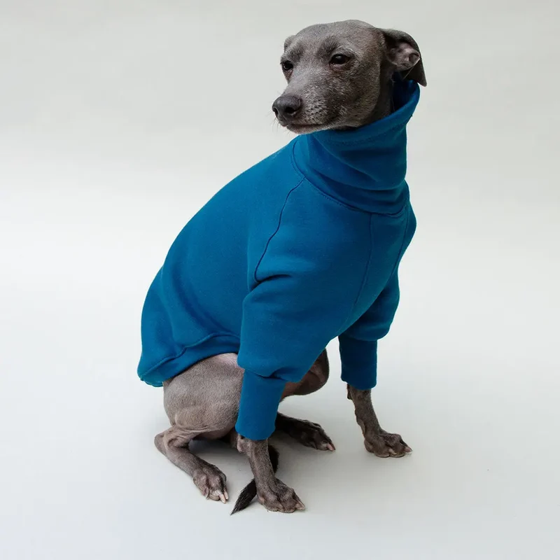 Hunde-Sweater "COZY LONGSLEEVE" - petrol