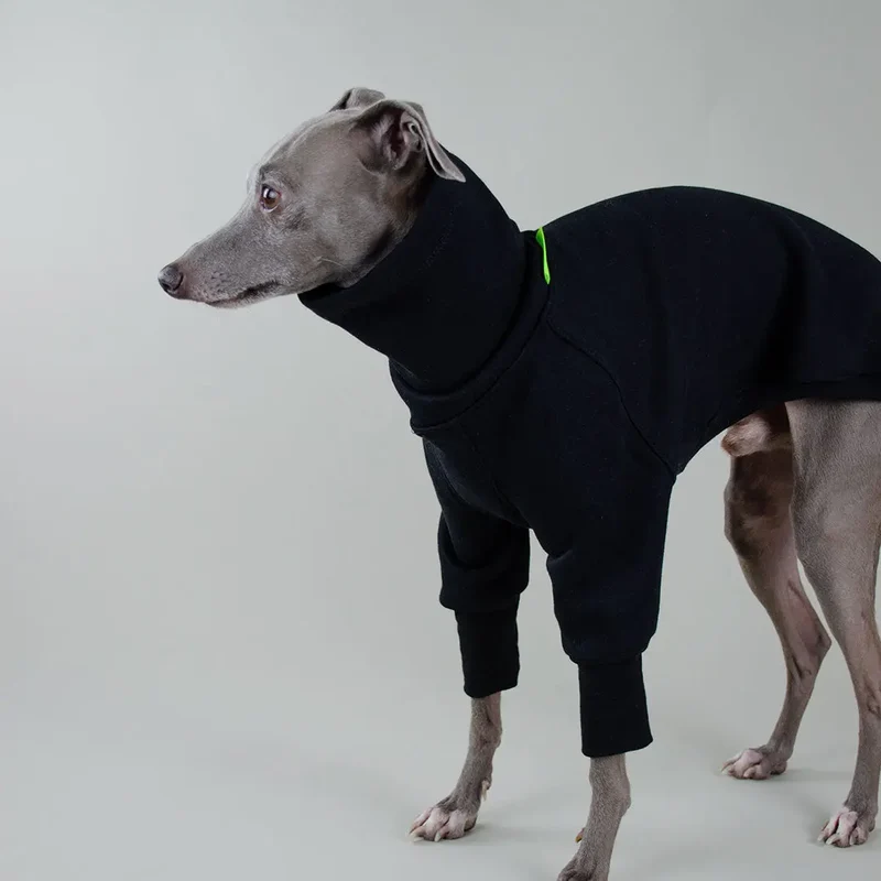 Hunde-Sweater "COZY LONGSLEEVE" - black