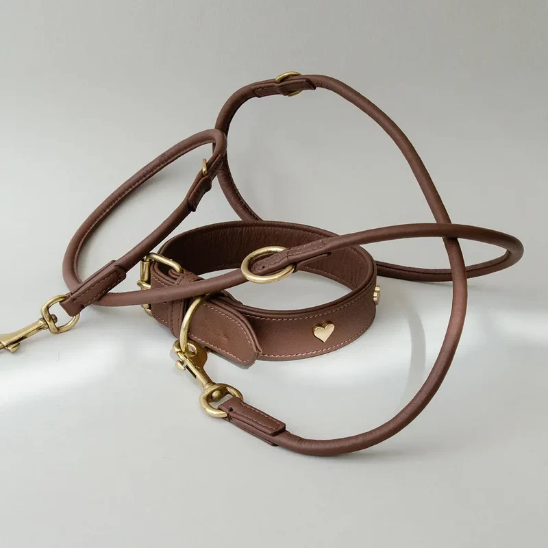 Gepolstertes Lederhalsband "Heart of Gold" - brown
