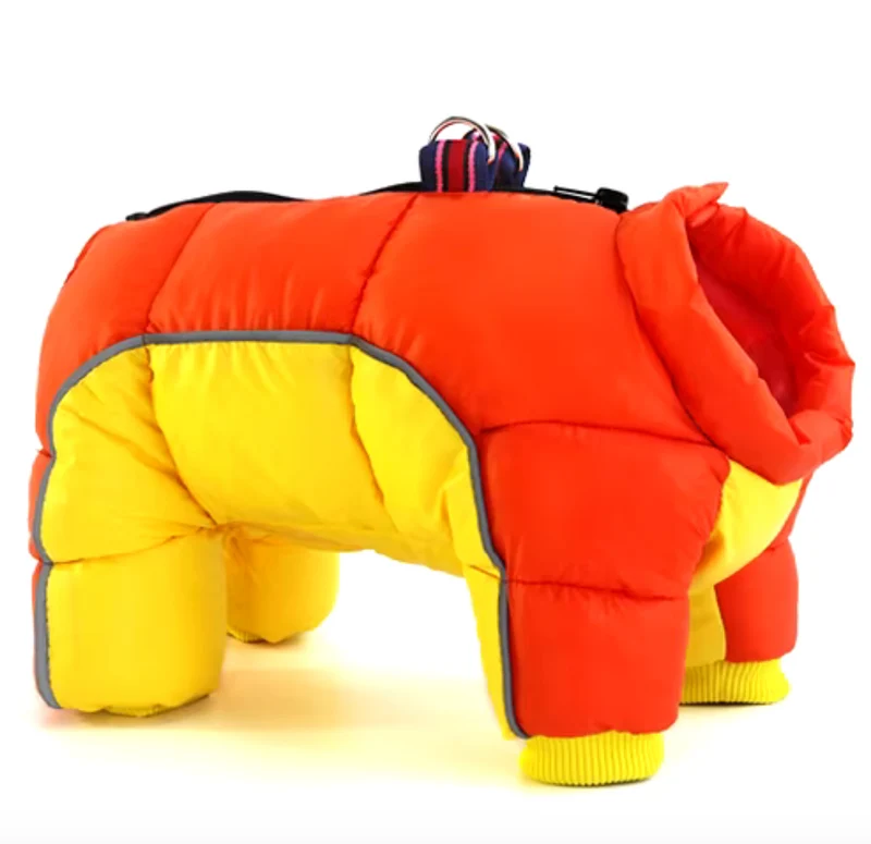 Hundewinterjacke "Alle Farben"