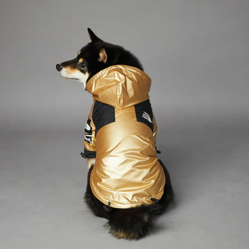 Hundejacke mit Kapuze "Gold"