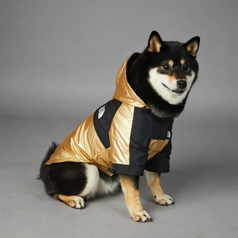 Hundejacke mit Kapuze "Gold"