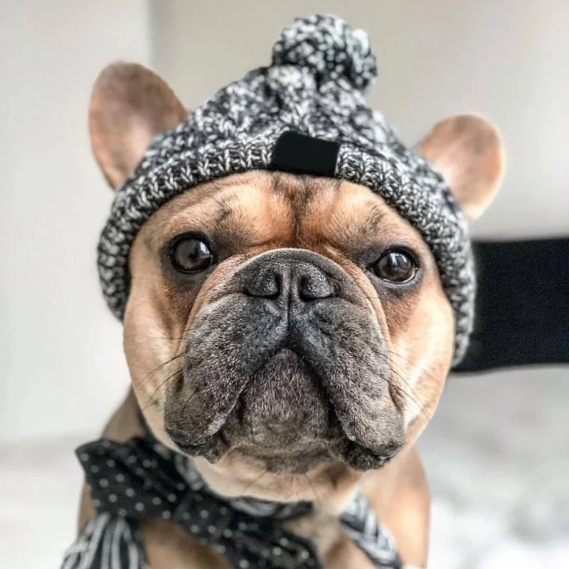 Hundemütze für kalte Wintertage