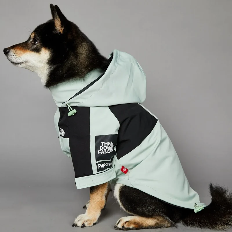 Hunderegenjacke
