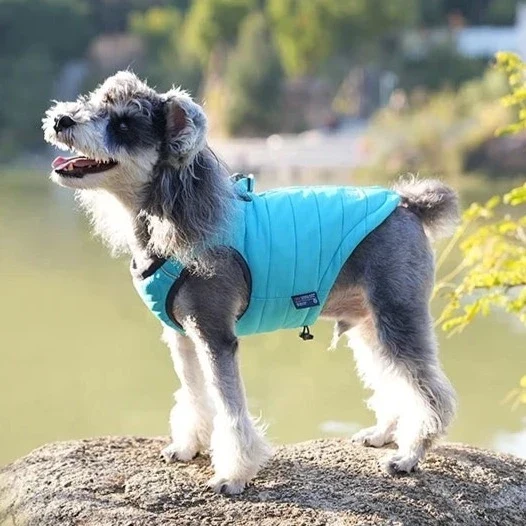 3M Thinsulate wärmende Hundeweste