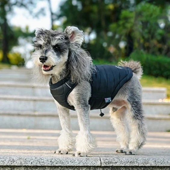3M Thinsulate wärmende Hundeweste