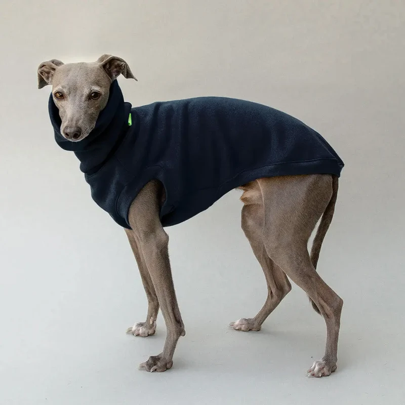 Hunde-Sweater "COZY" - black