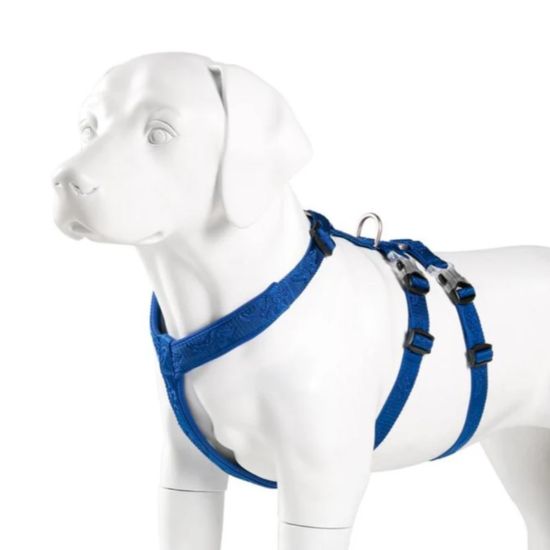 Ultraleichtes Doppel-H-Hundegeschirr Cordura