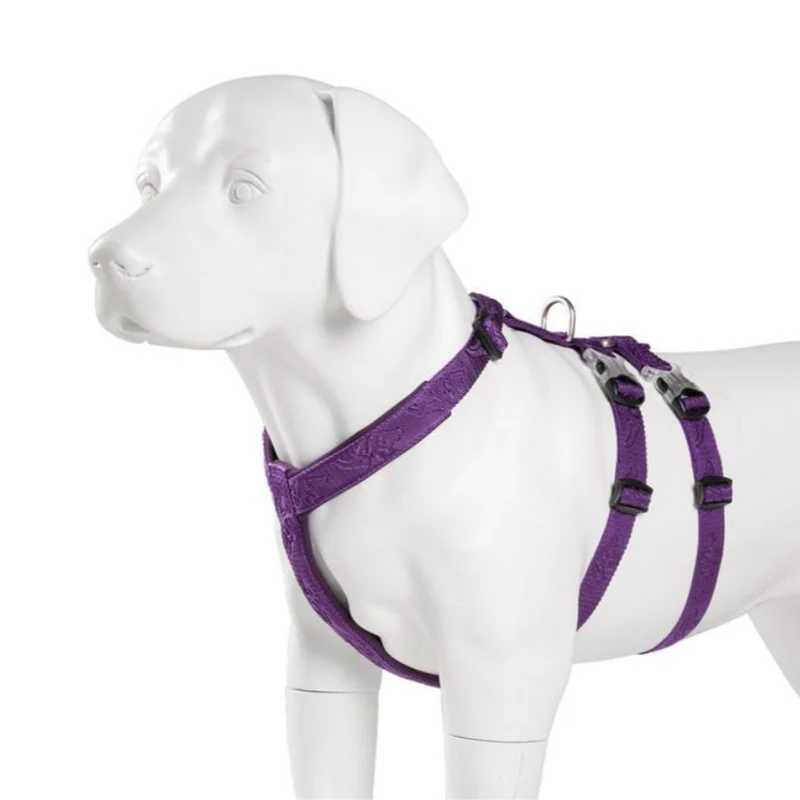 Ultraleichtes Doppel-H-Hundegeschirr Cordura