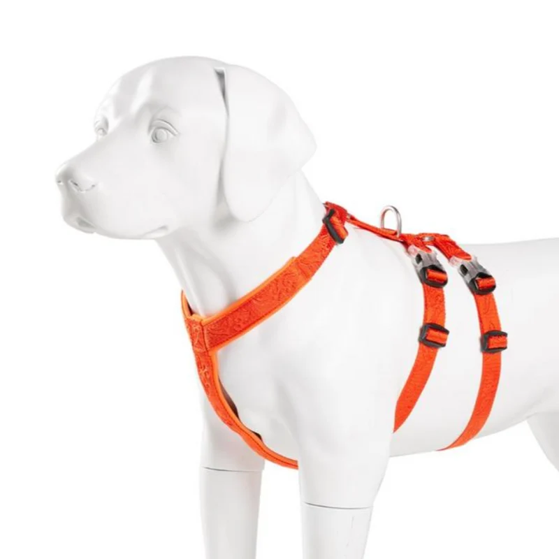 Ultraleichtes Doppel-H-Hundegeschirr Cordura