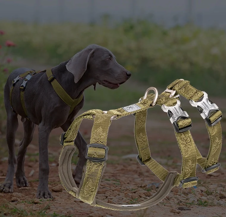 Ultraleichtes Doppel-H-Hundegeschirr Cordura