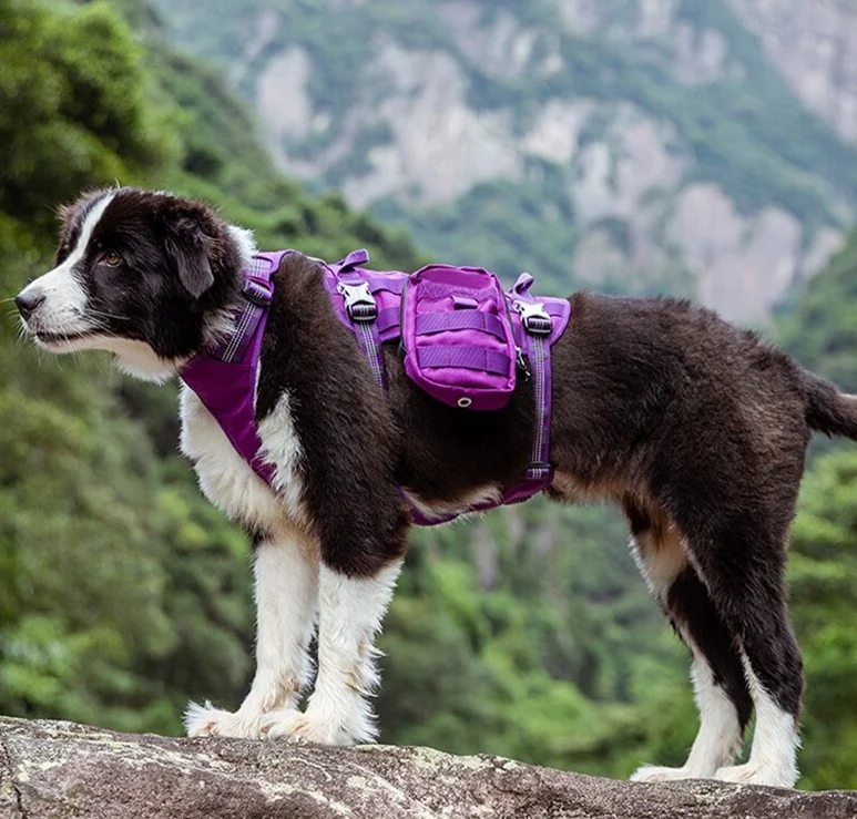 WINHYEPET 2 in 1 Military Hundegeschirr mit abnehmbaren Taschen Air-Mesh Cordura