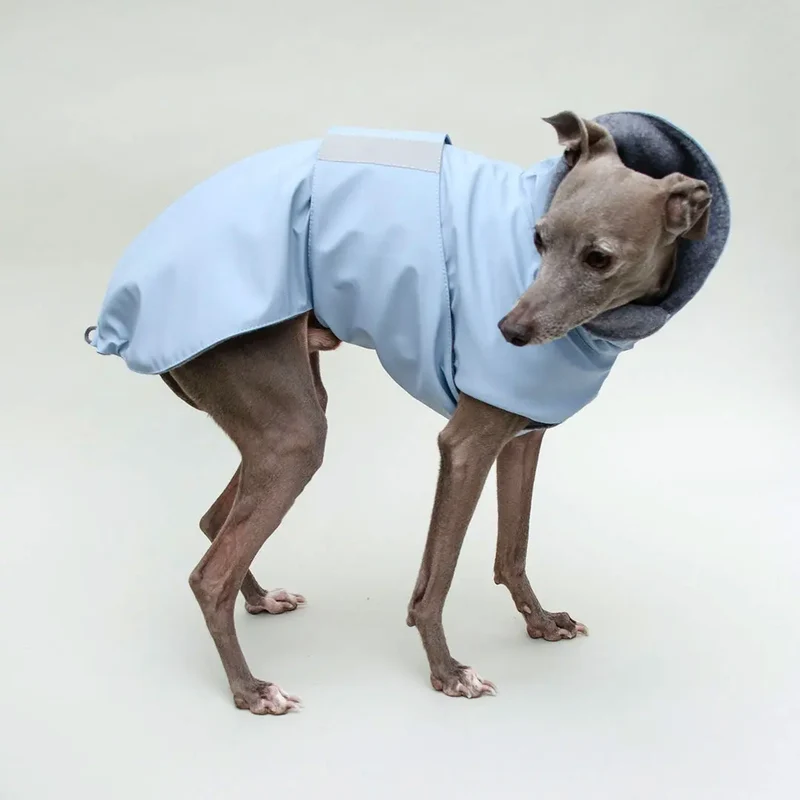 Warmer Hunde-Regenmantel "Safe From Rain" bleu
