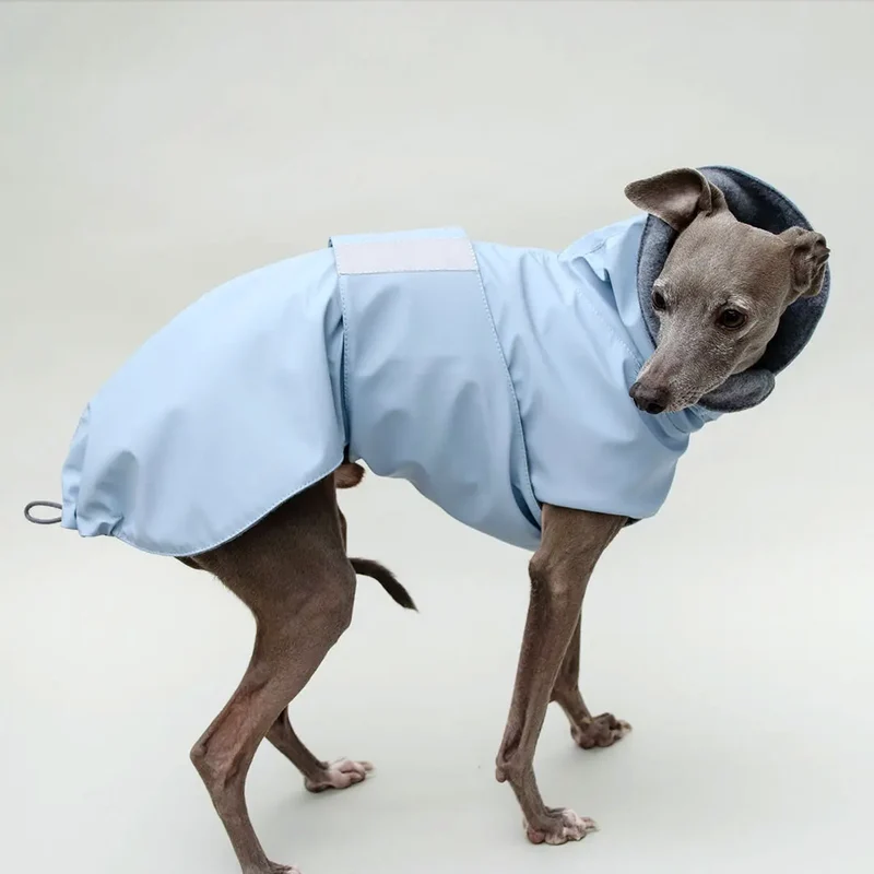 Warmer Hunde-Regenmantel "Safe From Rain" bleu